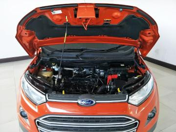 Laudo cautelar Ford Ecosport