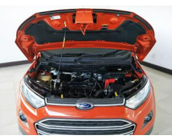 Laudo cautelar Ford Ecosport